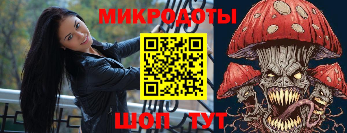 Псилоцибиновые грибы Psilocybine cubensis Краснотурьинск