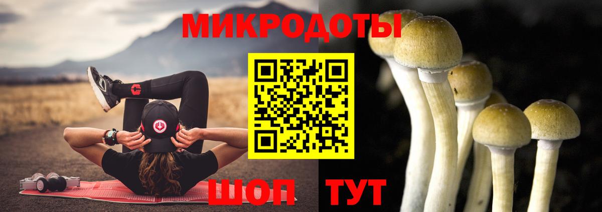 Краснотурьинск  Псилоцибиновые грибы мухоморы  Вход с VPN 